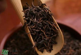 普洱茶能不能天天喝？天天喝普洱茶好嗎？