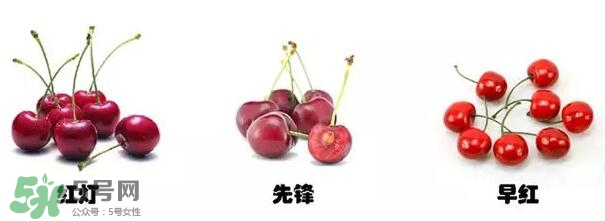 櫻桃和車厘子有什么區(qū)別？櫻桃和車厘子哪個貴？
