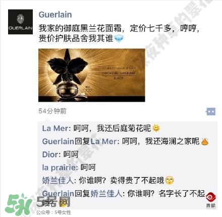 嬌蘭和嬌蘭佳人一樣嗎？嬌蘭和嬌蘭佳人什么聯(lián)系？