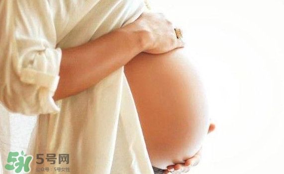 孕婦可以吃肉松蛋糕嗎？孕婦能吃肉松面包嗎