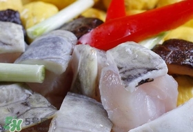 鱷魚(yú)肉有刺嗎？鱷魚(yú)肉有什么功效