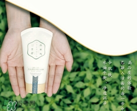 百雀羚三生花洗面奶多少錢？百雀羚三生花洗面奶價(jià)格
