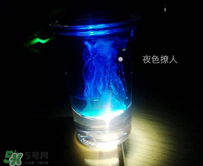 僵尸雞尾酒配方是什么？僵尸雞尾酒配方做法