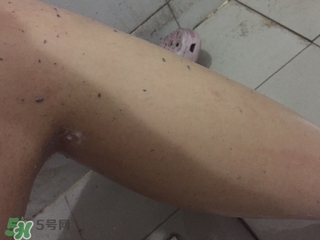shills舒兒絲去角質(zhì)雪泡怎么用？shills舒兒絲去角質(zhì)雪泡用法