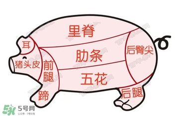 后臀尖多少錢一斤？豬后臀尖在哪？