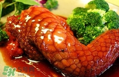 鱷魚肉是寒性的嗎？ 鱷魚肉是寒性還是溫性？