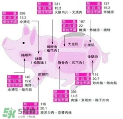 里脊肉是哪個部位？里脊肉是哪里的肉