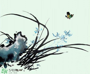 空谷幽蘭是什么書？空谷幽蘭講的是什么？