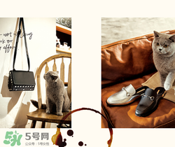 belle是什么牌子？百麗是哪個(gè)國家的品牌？