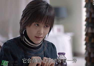 蒼蠅粉是什么意思？蒼蠅粉是什么東西？