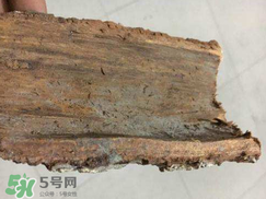 安哥拉樹皮的功效 安哥拉樹皮怎么用？