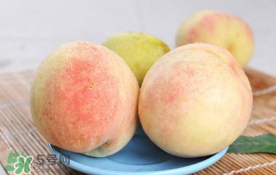 陽山水蜜桃多少錢一斤？無錫陽山水蜜桃價格