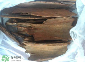 安哥拉樹皮能天天吃嗎？安哥拉樹皮天天吃可以嗎？