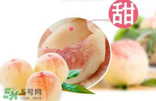 無(wú)錫水蜜桃多少錢(qián)一斤2017？無(wú)錫水蜜桃什么時(shí)候上市