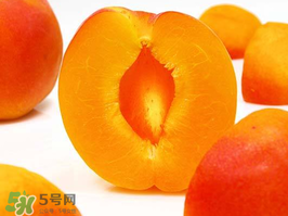 杏子幾月成熟？杏子什么時候成熟？