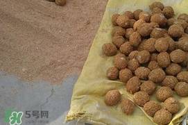 松花蛋是怎么做出來的？松花蛋的家庭腌制方法