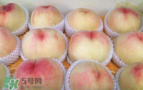 無(wú)錫水蜜桃多少錢(qián)一斤2017？無(wú)錫水蜜桃什么時(shí)候上市