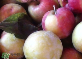 南華李什么時候成熟？南華李和三華李的區(qū)別