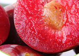 雙華李幾月可以吃？雙華李什么季節(jié)成熟