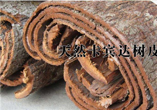 安哥拉樹皮能天天吃嗎？安哥拉樹皮天天吃可以嗎？