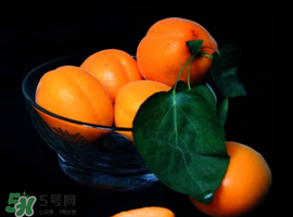 杏子可以和芒果一起吃嗎？吃完杏子可以吃芒果嗎？