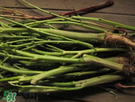 莧菜桿能吃嗎？莧菜桿子可以吃嗎？