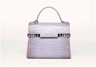delvaux2017春夏系列包包款式有哪些_好看嗎？