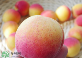 杏的熱量高嗎？一個杏的熱量是多少？