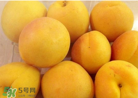 杏吃多了會怎么樣？杏吃多了會不會上火?