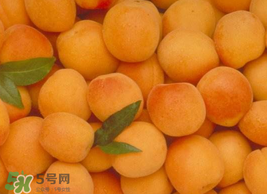 杏怎么催熟？杏怎么放熟的快？