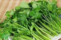 香菜洗腎有科學(xué)依據(jù)么？香菜能洗腎是真的嗎？