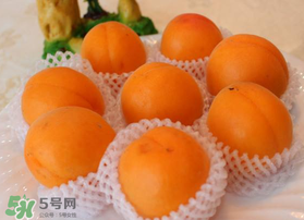 杏子可以放冰箱嗎？杏子可以冷藏嗎？