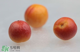 杏子怎么保存？長杏子怎么保存時間長？
