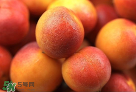新鮮杏子可以放冰箱嗎？新鮮杏子怎么保存？