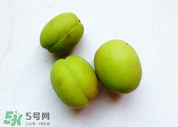 青杏怎么催熟？青杏怎么變黃？