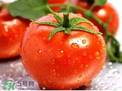杏和西紅柿能一起吃嗎？杏子能和西紅柿一起吃嗎？