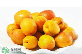 杏和荔枝能一起吃嗎？杏和荔枝一起吃會(huì)中毒嗎？