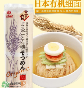 黃金大地面條產(chǎn)地是哪里？黃金大地面條安全嗎？