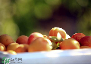杏子好吃嗎？杏子可以多吃嗎？