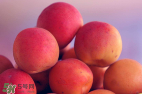 杏子好吃嗎？杏子可以多吃嗎？