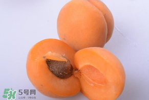 杏子好吃嗎？杏子可以多吃嗎？