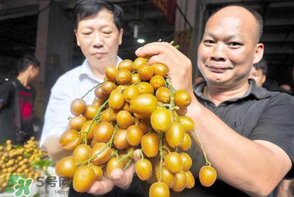 黃皮好吃嗎？黃皮是什么味道？