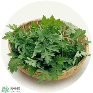 lululun plus面膜怎么樣？lululun plus面膜哪款好