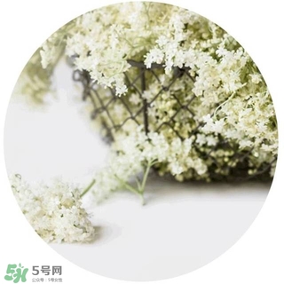lululun plus面膜怎么樣？lululun plus面膜哪款好