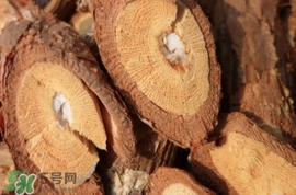 山葡萄根一斤多少錢？山葡萄根功效與作用