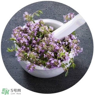 lululun plus面膜怎么樣？lululun plus面膜哪款好