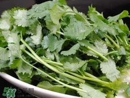 香菜是發(fā)物嗎？香菜是不是發(fā)物