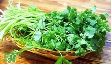 香菜是寒性食物嗎？香菜是熱性還是涼性？