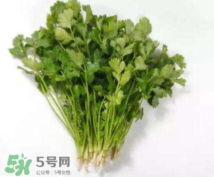 香菜洗腎有科學(xué)依據(jù)么？香菜能洗腎是真的嗎？