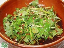 香菜是什么菜？香菜是陽(yáng)痿草嗎？